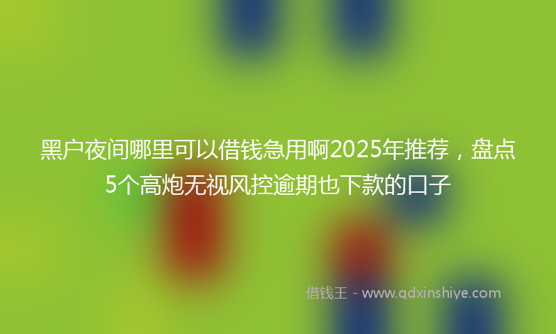 黑户夜间哪里可以借钱急用啊2025年推荐，盘点5个高炮无视风控逾期也下款的口子