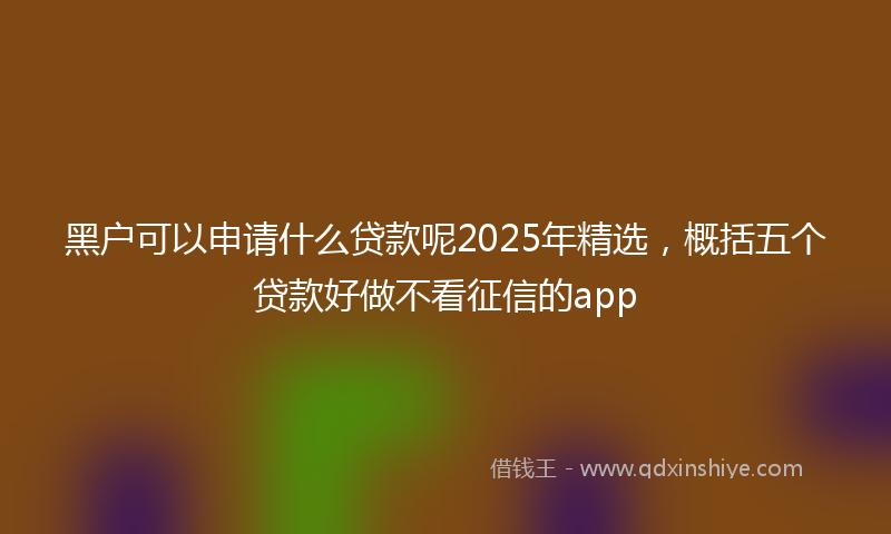 黑户可以申请什么贷款呢2025年精选，概括五个贷款好做不看征信的app
