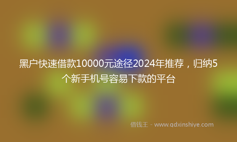 黑户快速借款10000元途径2024年推荐，归纳5个新手机号容易下款的平台