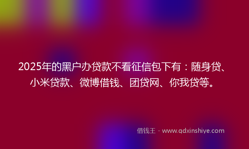 2025年的黑户办贷款不看征信包下有：随身贷、小米贷款、微博借钱、团贷网、你我贷等。
