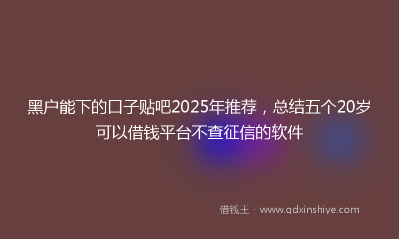 黑户能下的口子贴吧2025年推荐，总结五个20岁可以借钱平台不查征信的软件