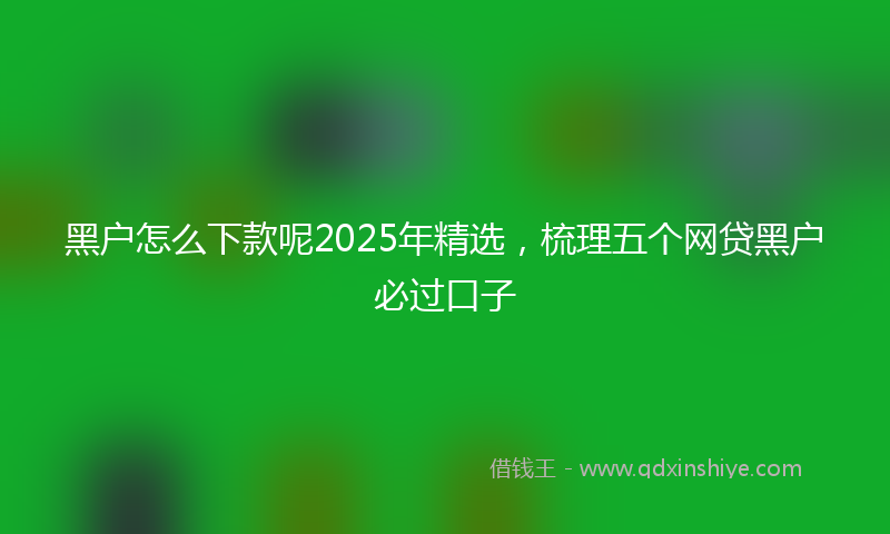 黑户怎么下款呢2025年精选，梳理五个网贷黑户必过口子