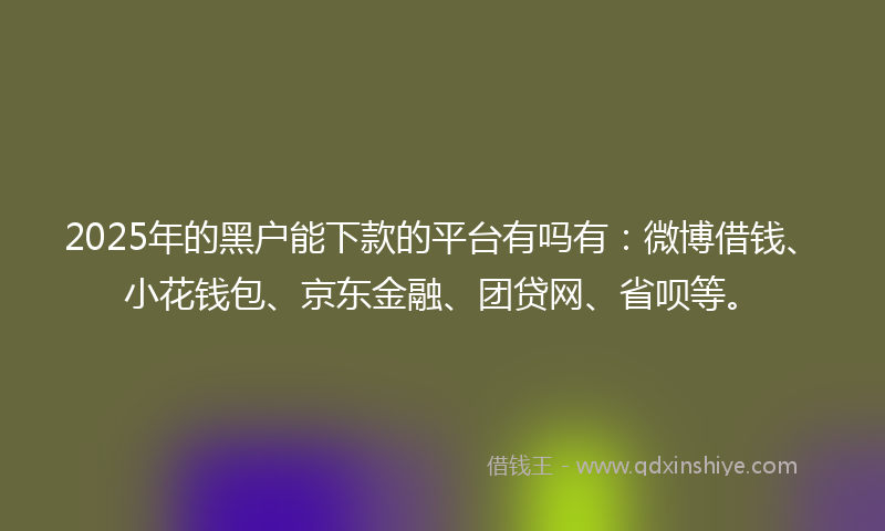 2025年的黑户能下款的平台有吗有：微博借钱、小花钱包、京东金融、团贷网、省呗等。