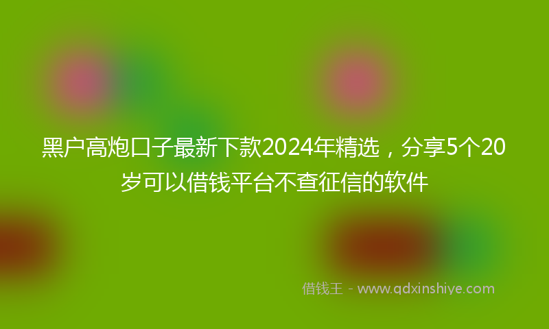 黑户高炮口子最新下款2024年精选，分享5个20岁可以借钱平台不查征信的软件