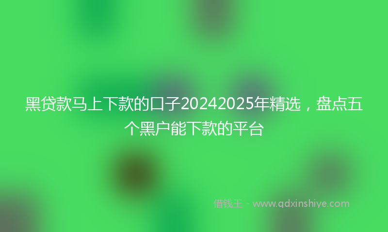 黑贷款马上下款的口子20242025年精选，盘点五个黑户能下款的平台