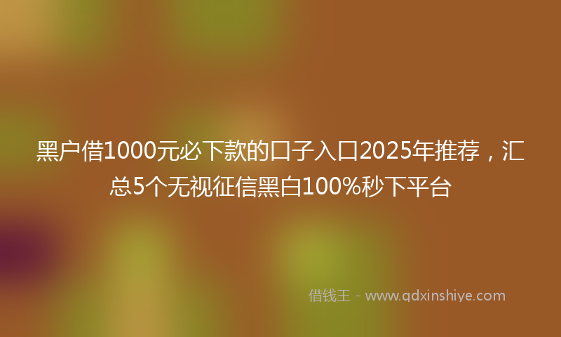 黑户借1000元必下款的口子入口2025年推荐，汇总5个无视征信黑白100%秒下平台