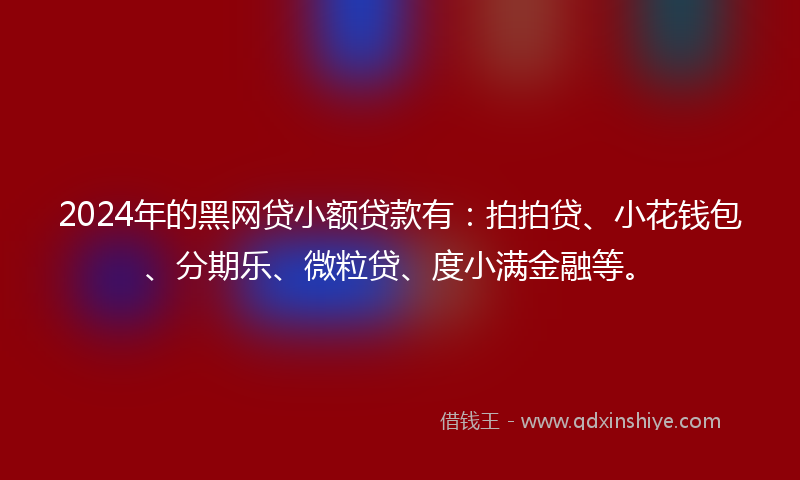 2024年的黑网贷小额贷款有：拍拍贷、小花钱包、分期乐、微粒贷、度小满金融等。