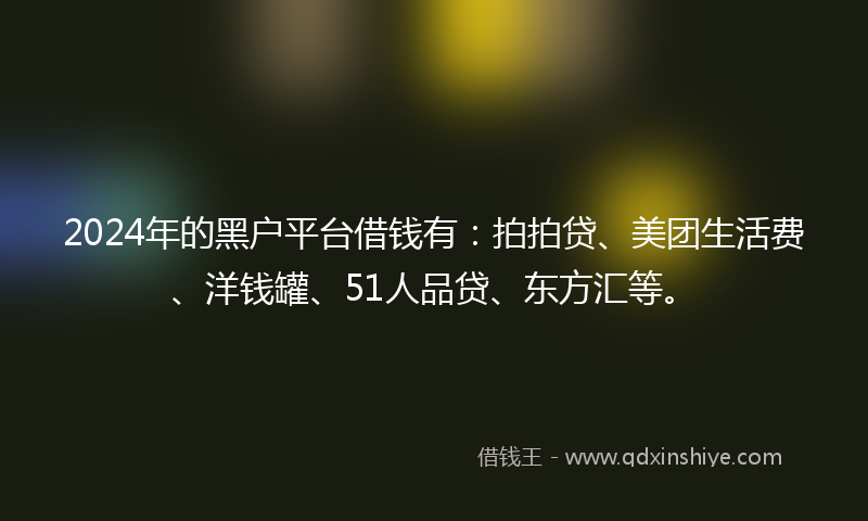 2024年的黑户平台借钱有：拍拍贷、美团生活费、洋钱罐、51人品贷、东方汇等。
