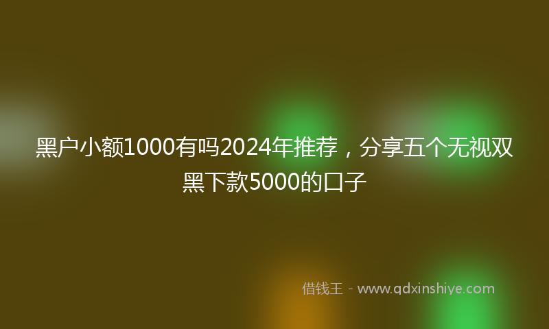 黑户小额1000有吗2024年推荐，分享五个无视双黑下款5000的口子