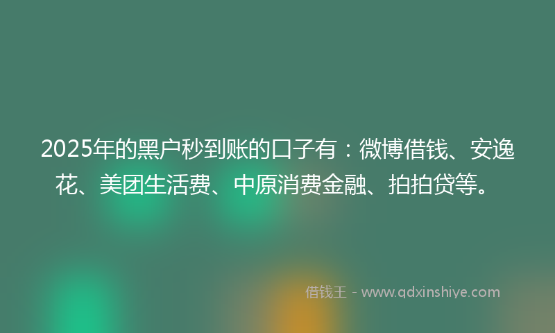 2025年的黑户秒到账的口子有：微博借钱、安逸花、美团生活费、中原消费金融、拍拍贷等。