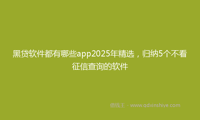 黑贷软件都有哪些app2025年精选，归纳5个不看征信查询的软件