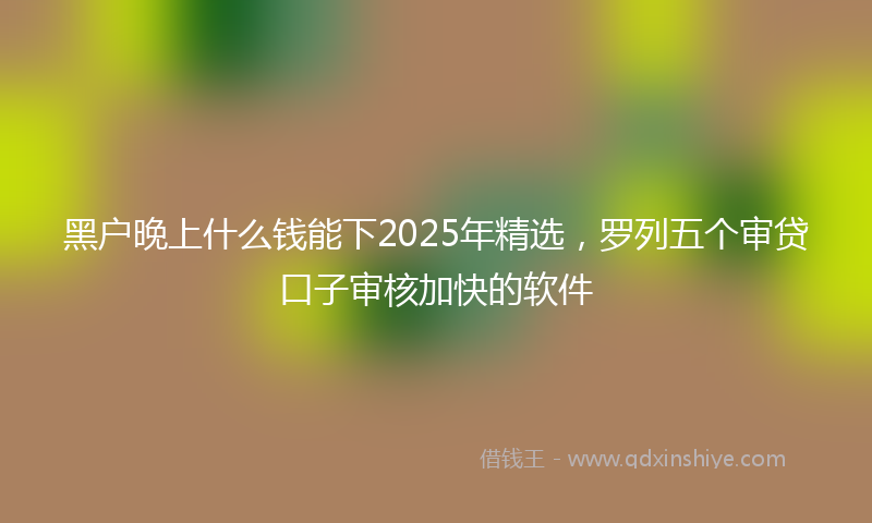 黑户晚上什么钱能下2025年精选，罗列五个审贷口子审核加快的软件