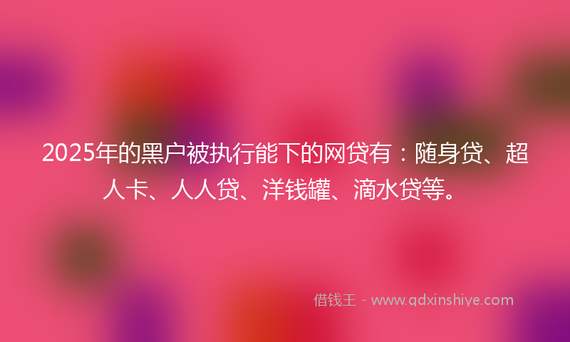 2025年的黑户被执行能下的网贷有：随身贷、超人卡、人人贷、洋钱罐、滴水贷等。