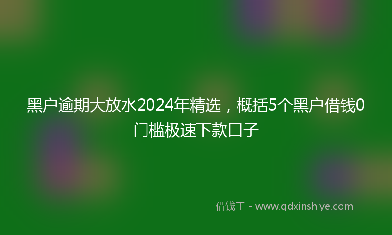 黑户逾期大放水2024年精选，概括5个黑户借钱0门槛极速下款口子