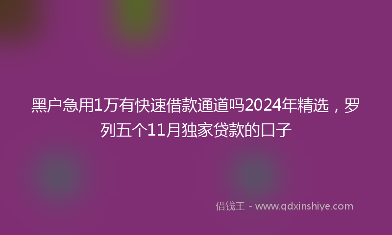 黑户急用1万有快速借款通道吗2024年精选，罗列五个11月独家贷款的口子