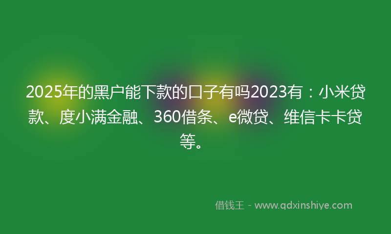 2025年的黑户能下款的口子有吗2023有：小米贷款、度小满金融、360借条、e微贷、维信卡卡贷等。