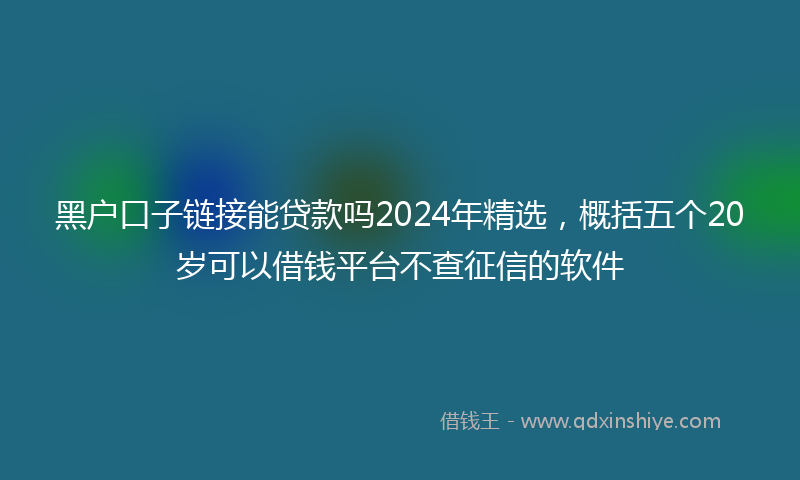 黑户口子链接能贷款吗2024年精选，概括五个20岁可以借钱平台不查征信的软件