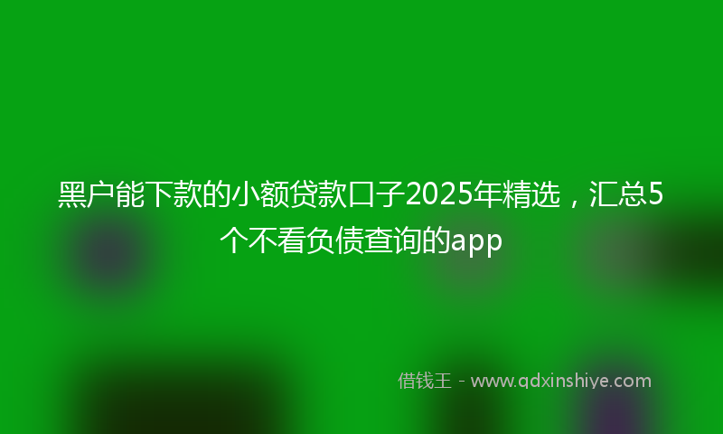 黑户能下款的小额贷款口子2025年精选，汇总5个不看负债查询的app