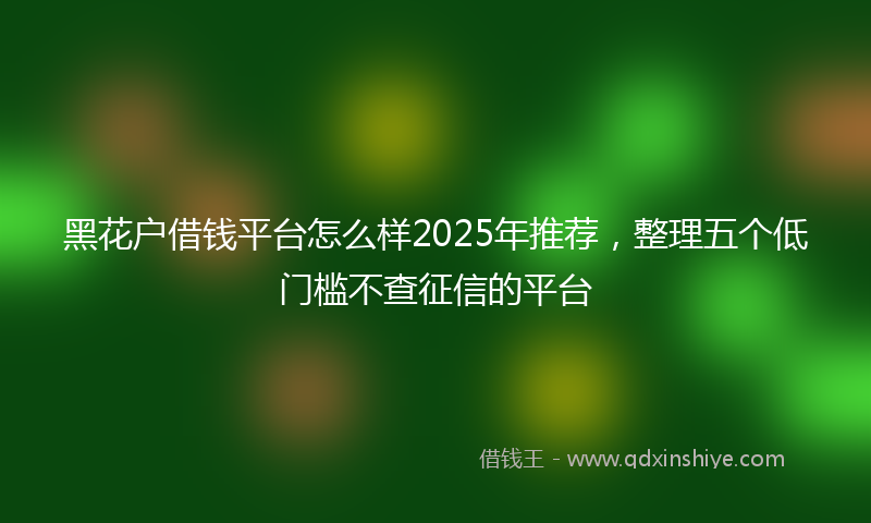 黑花户借钱平台怎么样2025年推荐，整理五个低门槛不查征信的平台