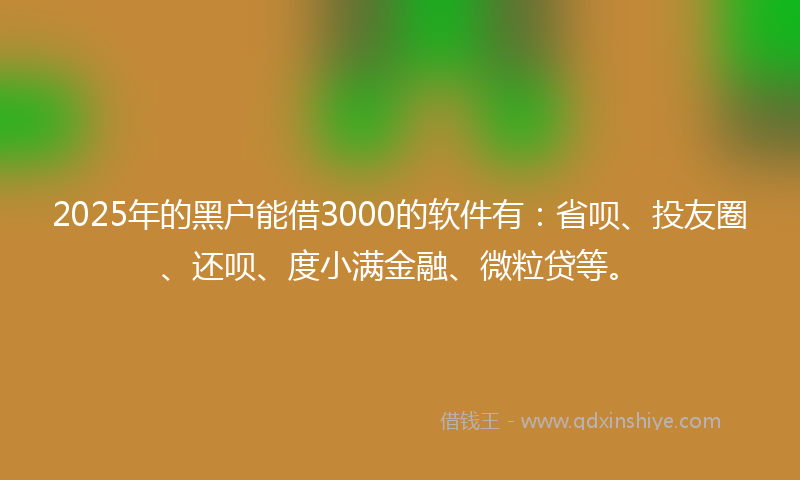 2025年的黑户能借3000的软件有：省呗、投友圈、还呗、度小满金融、微粒贷等。