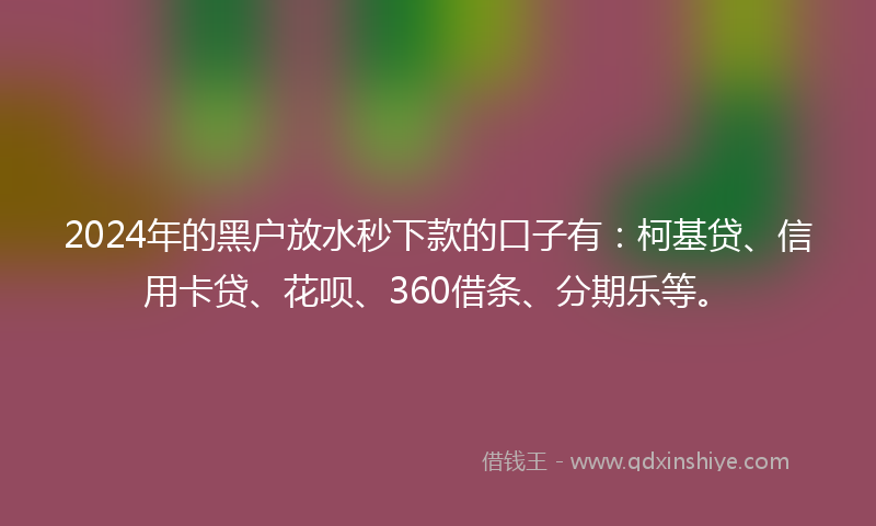 2024年的黑户放水秒下款的口子有：柯基贷、信用卡贷、花呗、360借条、分期乐等。