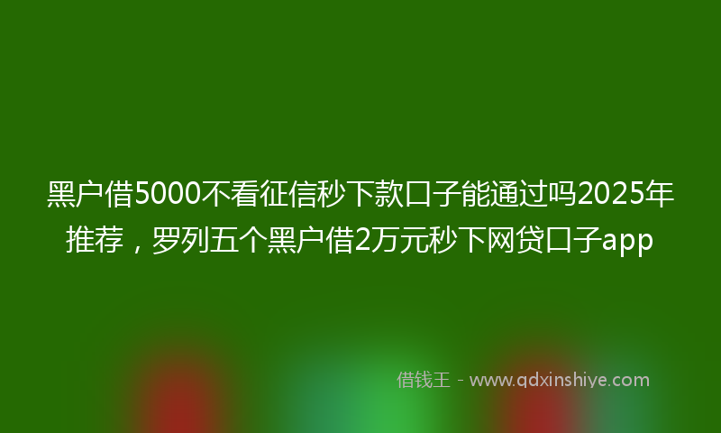 黑户借5000不看征信秒下款口子能通过吗2025年推荐，罗列五个黑户借2万元秒下网贷口子app