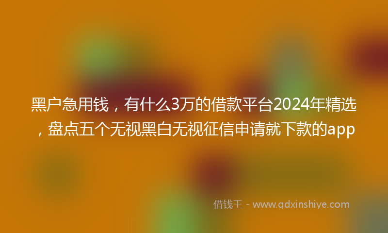 黑户急用钱，有什么3万的借款平台2024年精选，盘点五个无视黑白无视征信申请就下款的app