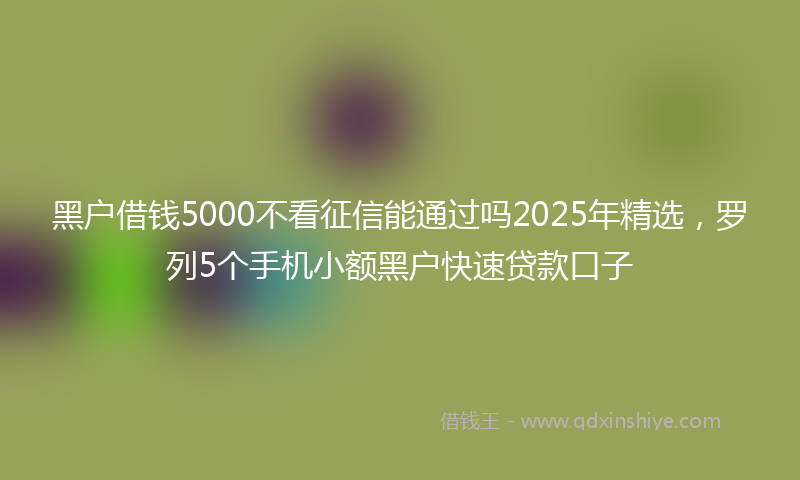 黑户借钱5000不看征信能通过吗2025年精选，罗列5个手机小额黑户快速贷款口子