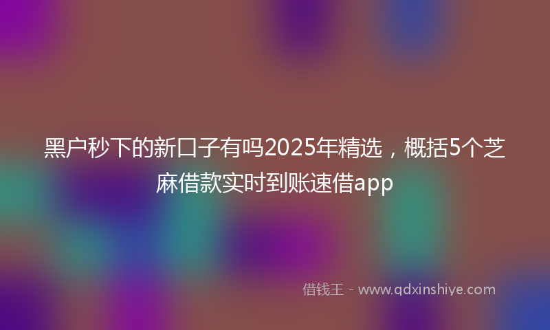 黑户秒下的新口子有吗2025年精选，概括5个芝麻借款实时到账速借app