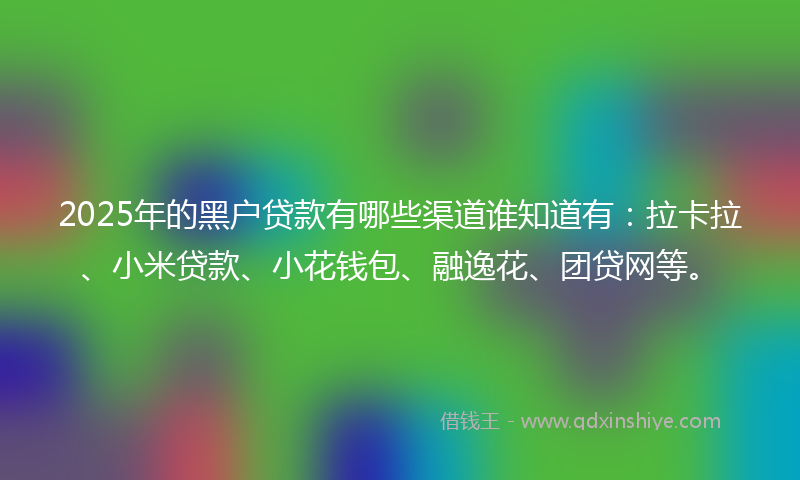 2025年的黑户贷款有哪些渠道谁知道有：拉卡拉、小米贷款、小花钱包、融逸花、团贷网等。