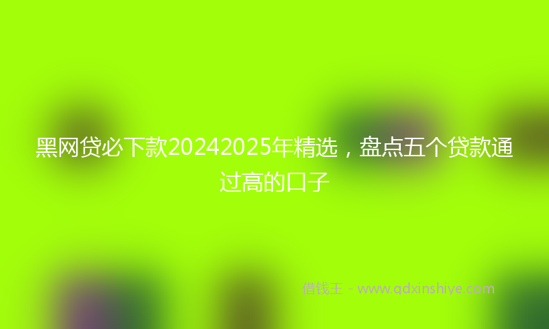 黑网贷必下款20242025年精选，盘点五个贷款通过高的口子