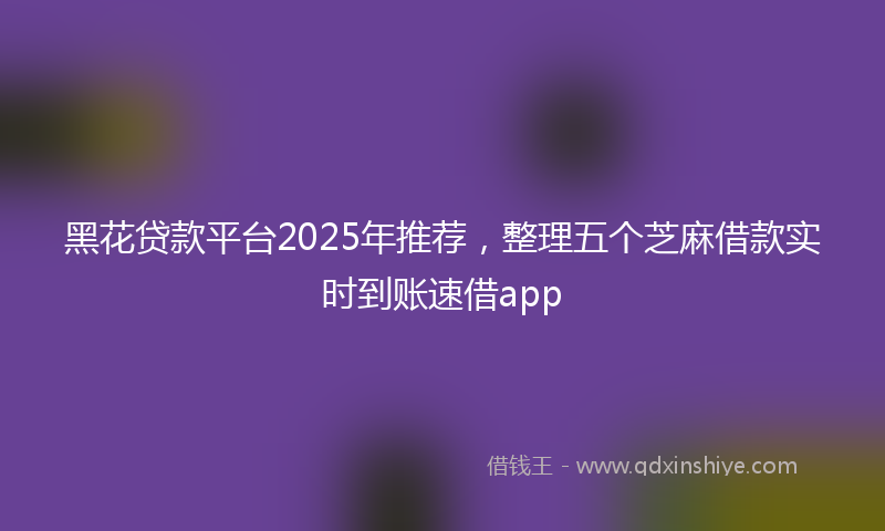 黑花贷款平台2025年推荐，整理五个芝麻借款实时到账速借app