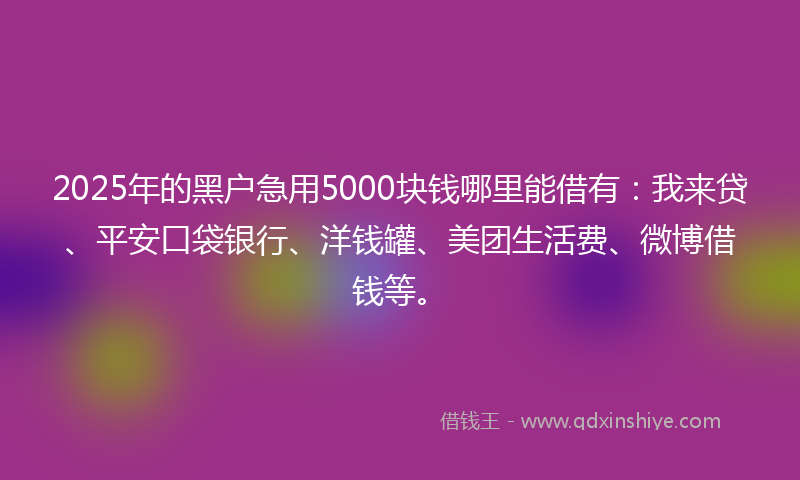 2025年的黑户急用5000块钱哪里能借有：我来贷、平安口袋银行、洋钱罐、美团生活费、微博借钱等。