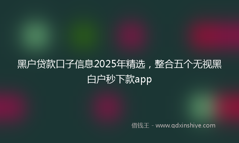 黑户贷款口子信息2025年精选，整合五个无视黑白户秒下款app