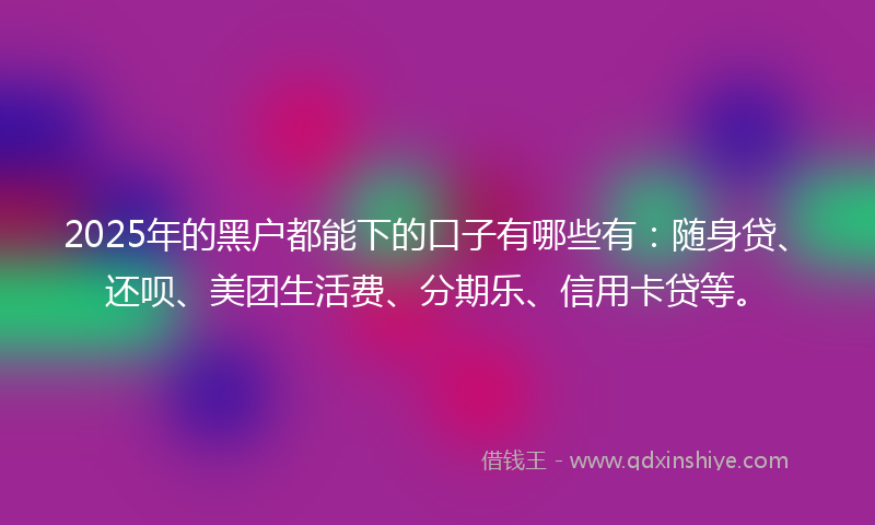 2025年的黑户都能下的口子有哪些有：随身贷、还呗、美团生活费、分期乐、信用卡贷等。