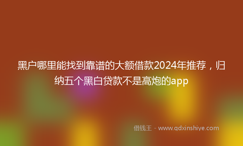 黑户哪里能找到靠谱的大额借款2024年推荐，归纳五个黑白贷款不是高炮的app