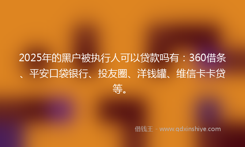 2025年的黑户被执行人可以贷款吗有：360借条、平安口袋银行、投友圈、洋钱罐、维信卡卡贷等。