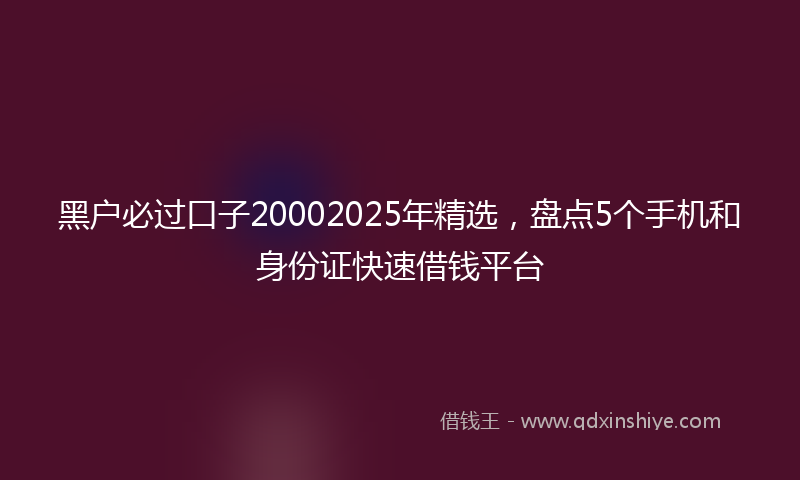 黑户必过口子20002025年精选，盘点5个手机和身份证快速借钱平台