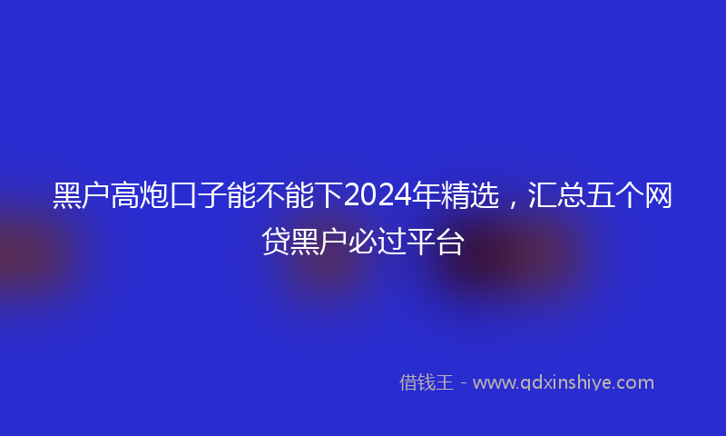 黑户高炮口子能不能下2024年精选，汇总五个网贷黑户必过平台