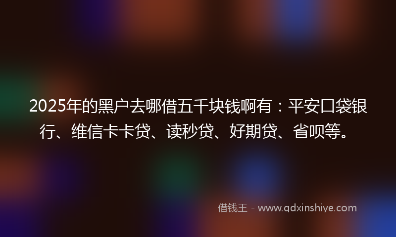 2025年的黑户去哪借五千块钱啊有：平安口袋银行、维信卡卡贷、读秒贷、好期贷、省呗等。