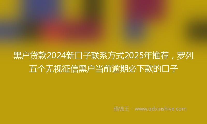 黑户贷款2024新口子联系方式2025年推荐，罗列五个无视征信黑户当前逾期必下款的口子
