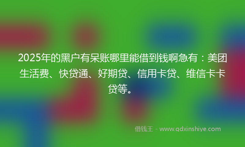 2025年的黑户有呆账哪里能借到钱啊急有：美团生活费、快贷通、好期贷、信用卡贷、维信卡卡贷等。