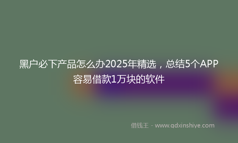 黑户必下产品怎么办2025年精选，总结5个APP容易借款1万块的软件