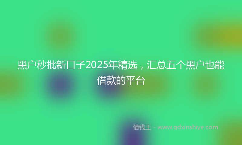黑户秒批新口子2025年精选，汇总五个黑户也能借款的平台