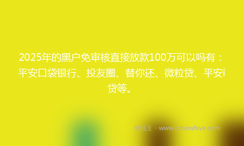 2025年的黑户免审核直接放款100万可以吗有：平安口袋银行、投友圈、替你还、微粒贷、平安i贷等。