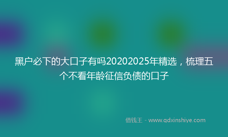 黑户必下的大口子有吗20202025年精选，梳理五个不看年龄征信负债的口子