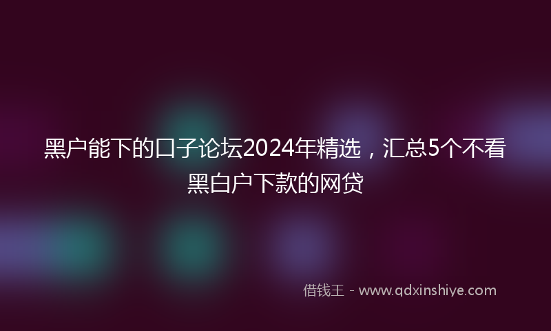 黑户能下的口子论坛2024年精选，汇总5个不看黑白户下款的网贷