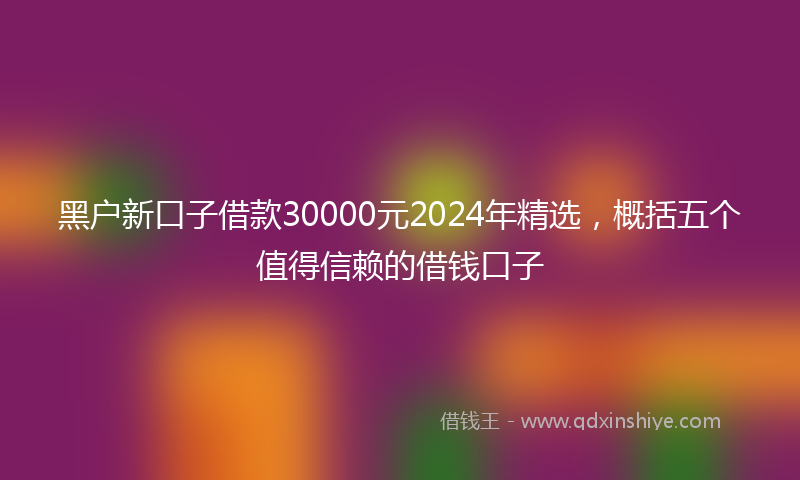 黑户新口子借款30000元2024年精选，概括五个值得信赖的借钱口子