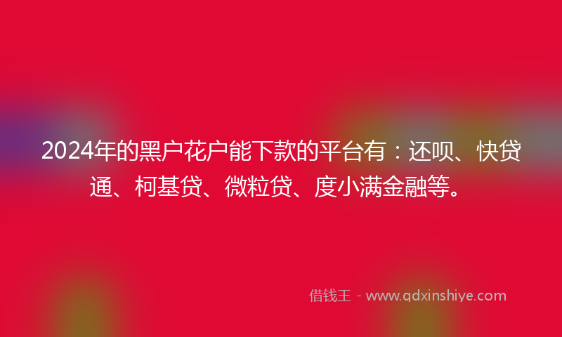 2024年的黑户花户能下款的平台有：还呗、快贷通、柯基贷、微粒贷、度小满金融等。