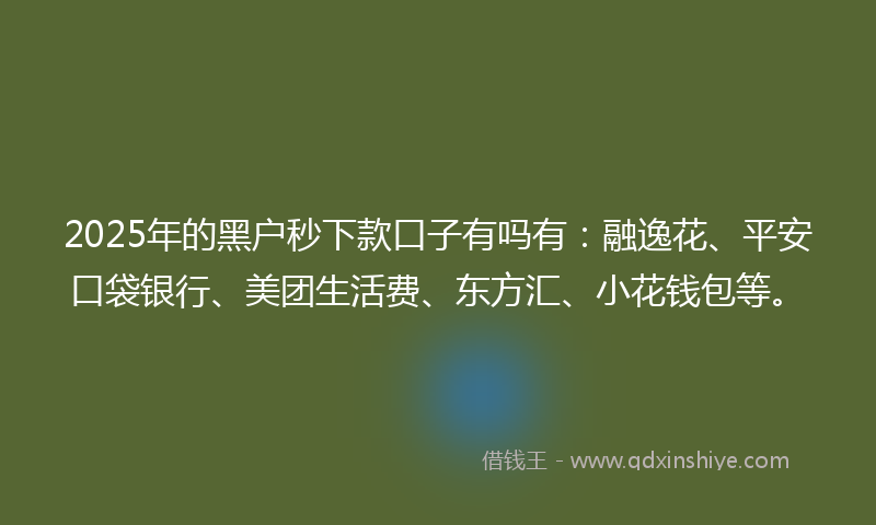 2025年的黑户秒下款口子有吗有：融逸花、平安口袋银行、美团生活费、东方汇、小花钱包等。